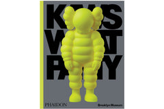 KAWS WHAT PARTY