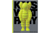 KAWS WHAT PARTY