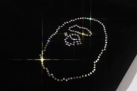 CRYSTAL STONE APE HEAD VELOUR WIDE PANTS