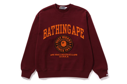 COLLEGE GRAPHIC CREWNECK