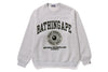 COLLEGE GRAPHIC CREWNECK