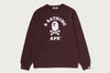 APE CROSSBONE COLLEGE CREWNECK SWEATSHIRT