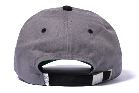 COLLEGE PANEL CAP