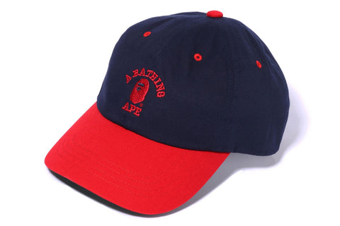 COLLEGE PANEL CAP