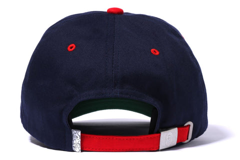 COLLEGE PANEL CAP