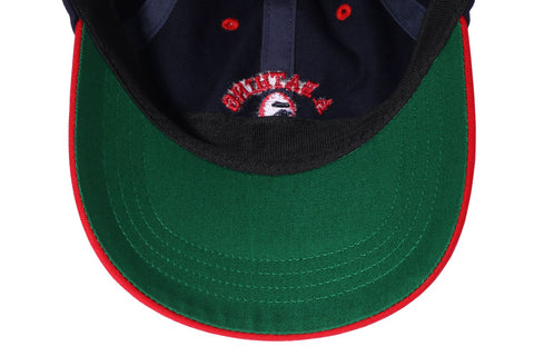 COLLEGE PANEL CAP